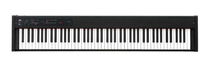 KORG D1